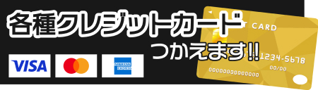 各種クレジットカード使えます